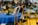 International Conference on Biodiversity and Climate Change 2025  | Misamis University Research Center